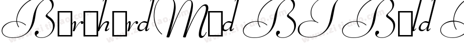 BernhardMod BT Bold Italic字体转换